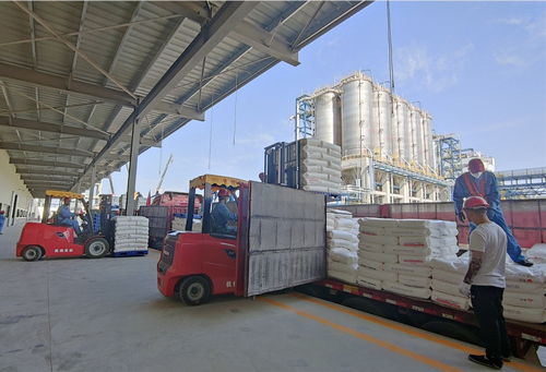 我国首个自主知识产权乙烷制乙烯项目首批聚乙烯产品面市，彰显科技创新与知识产权保护新高度