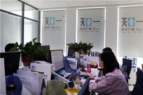 知识产权的春天——论代理机构的责任与担当